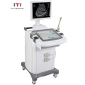 Hot Sale Portable Ultrasound Scanner for Veterinary